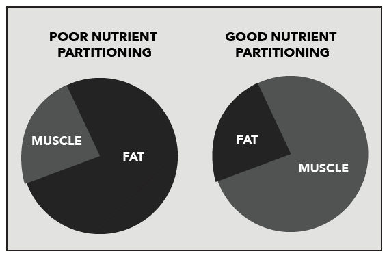 nutrient-partitioning-pie chart