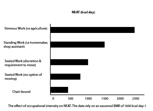 NEAT-GRAPH