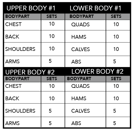 Tackling Strength and Muscle Loss During A Diet | Physiqonomics