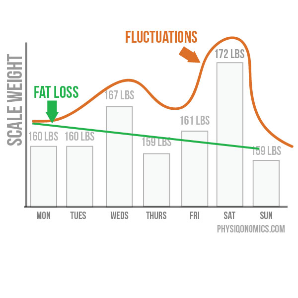 Scale Fluctuations Are Annoying Here S What S Going On Physiqonomics