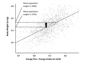 1st Choice Keto Gummies DIBIZ Digital Business Cards