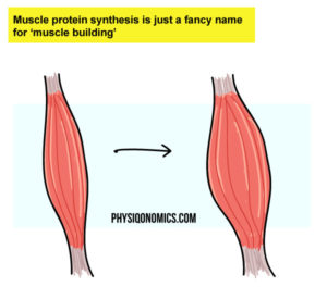 How to Drink Alcohol and Lose Fat | Physiqonomics