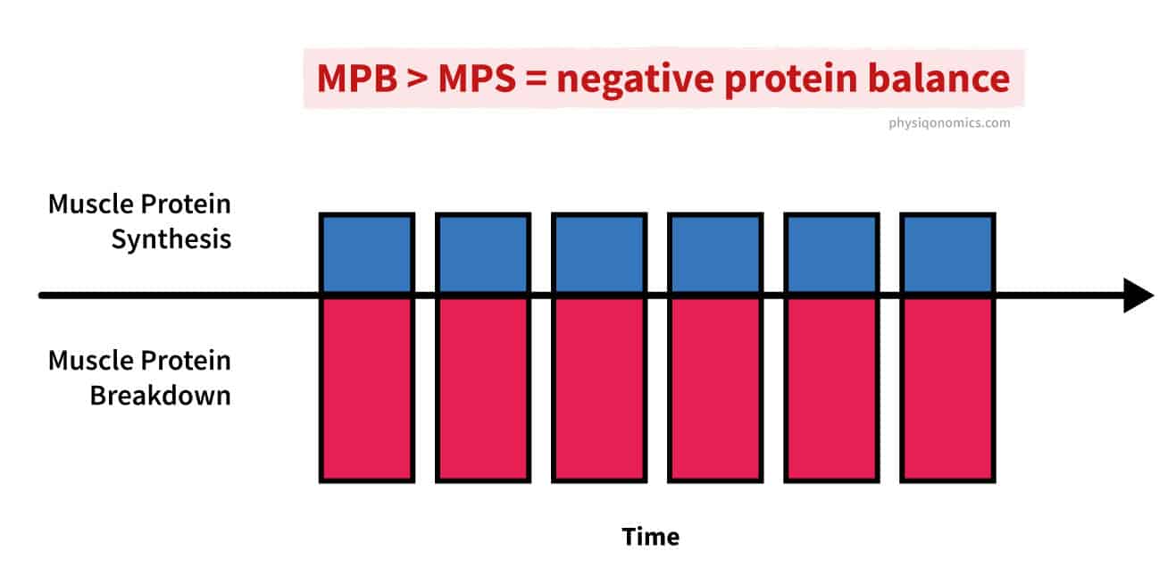 Should You Have Protein After Your Workout? Physiqonomics