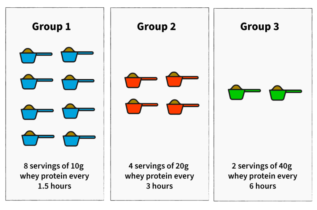 Illustration representing the three groups in the study 