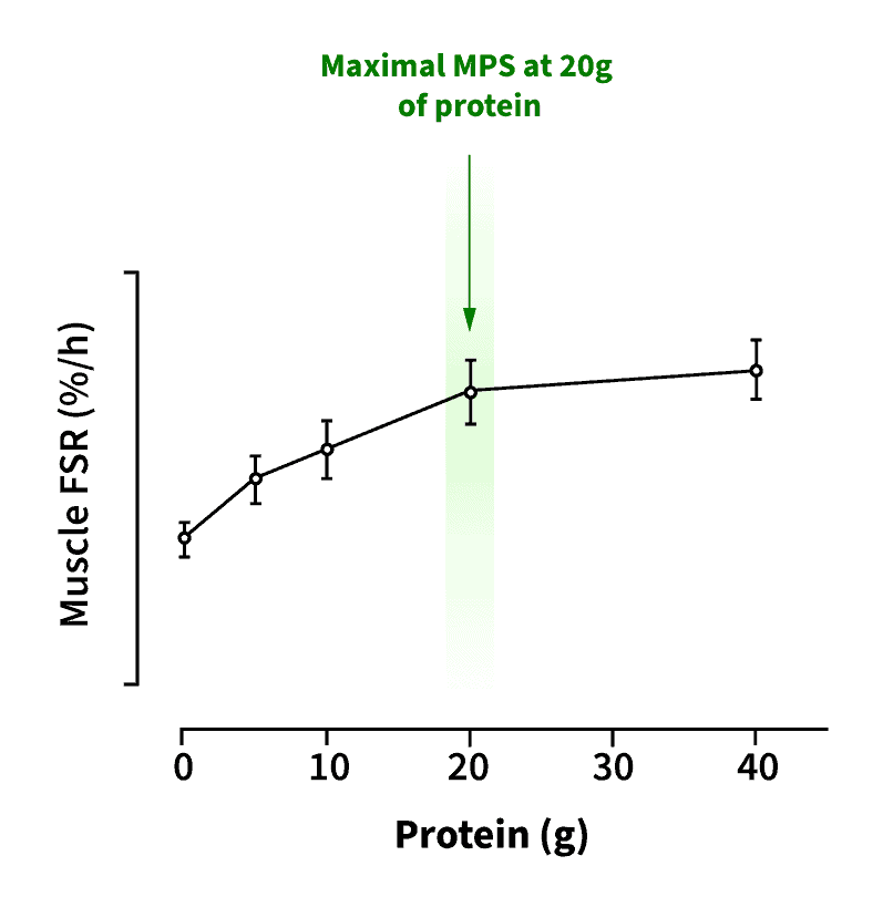 Maximal MPS graph showing protein maxes out at 20g