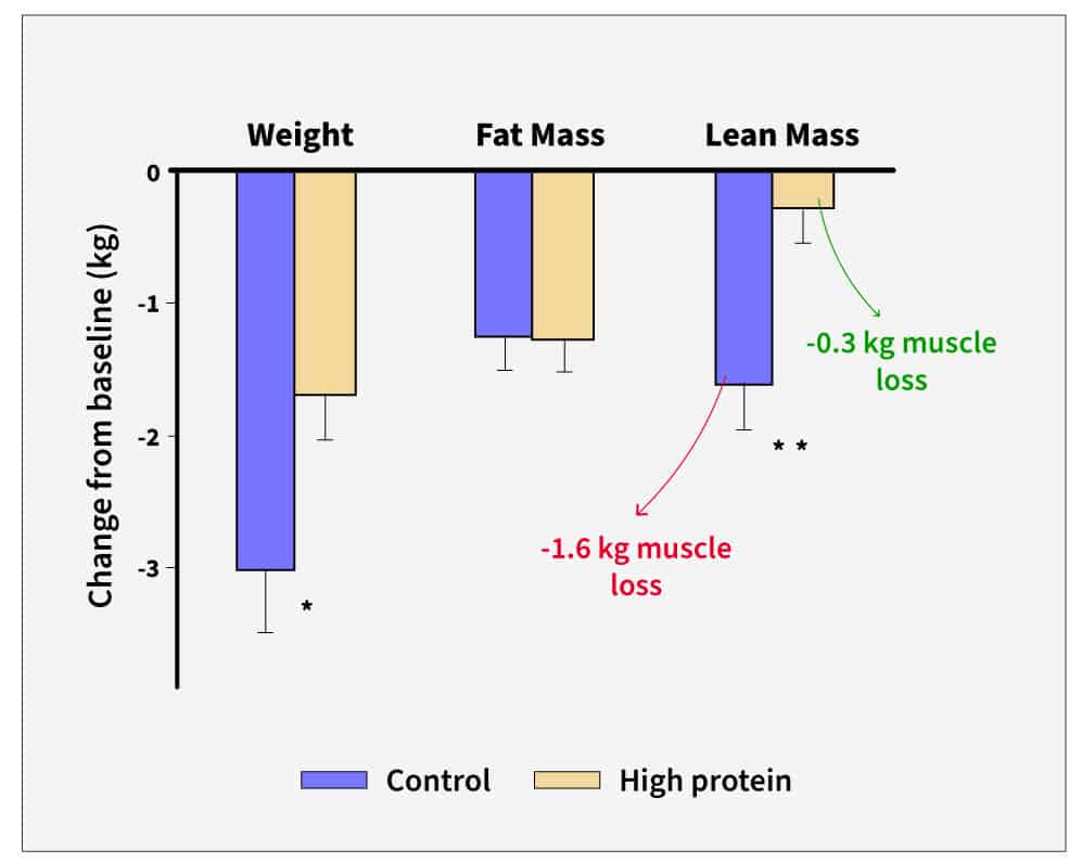 Graph showing changes in muscle loss, weight loss, and fat loss between two groups consuming different levels of protein