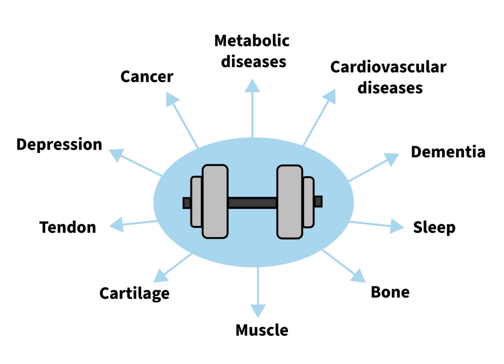 How To Prevent Muscle and Strength Loss When Dieting Physiqonomics