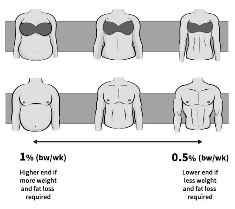 How To Prevent Muscle And Strength Loss When Dieting | Physiqonomics