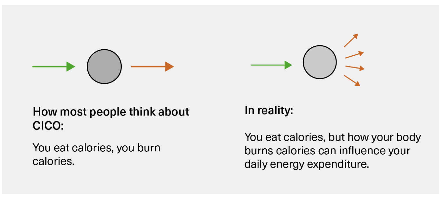 Is Calories In/Calories Out Wrong? Physiqonomics
