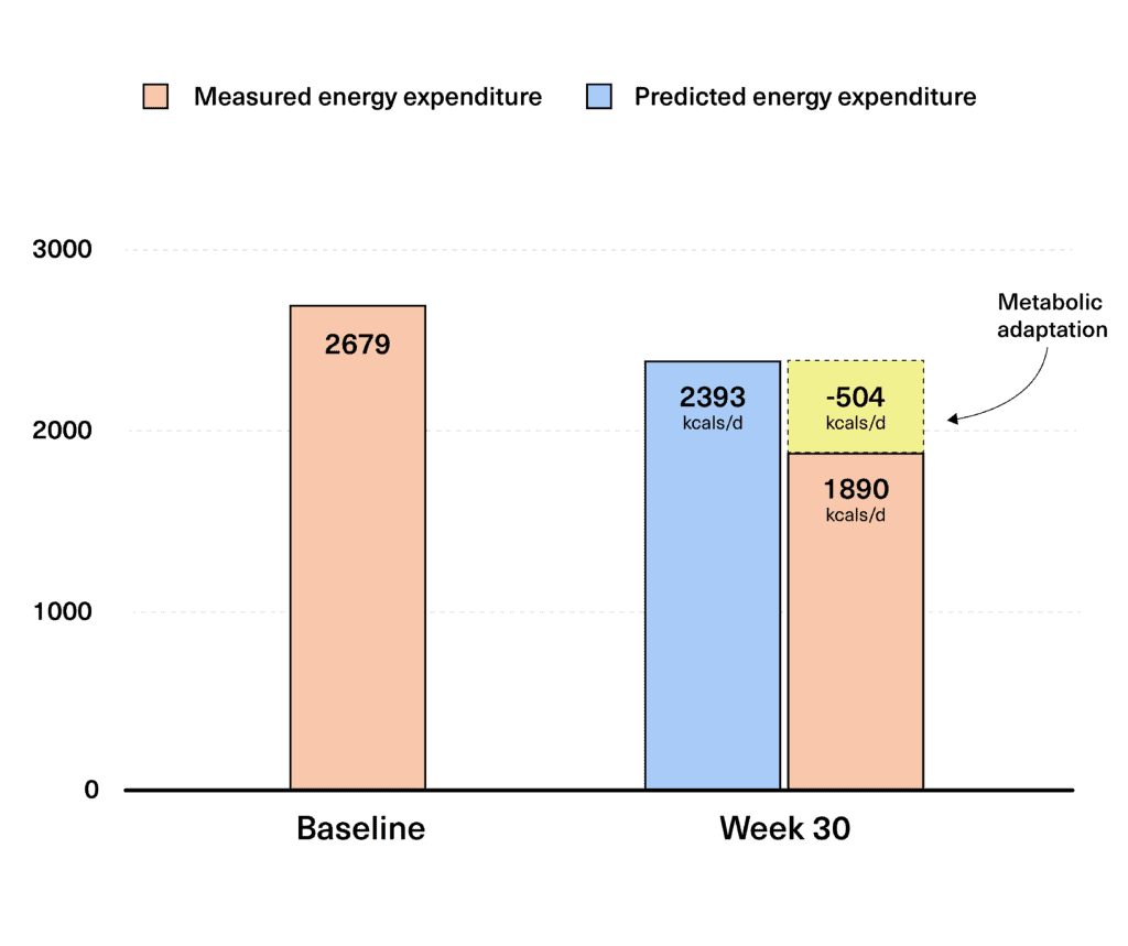 Bar graphs showing the difference in predicted and measured energy expenditure. Yellow box illustrating the metabolic adaptation that occurred