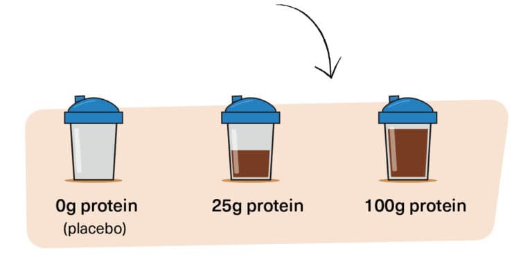 Is There a Limit to How Much Protein You Can Absorb in a Meal