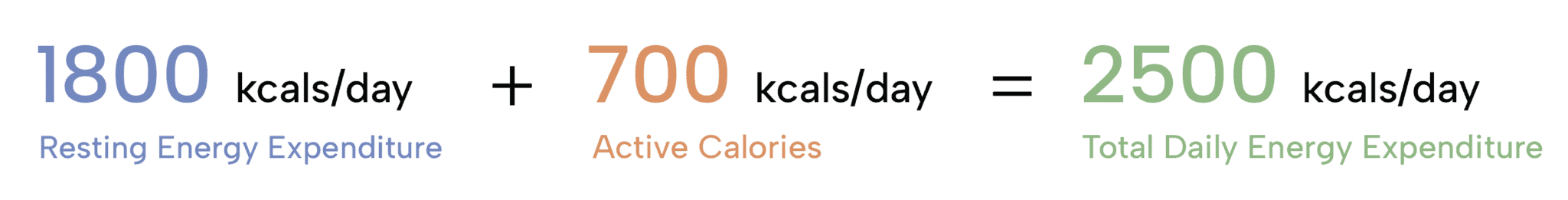 I Walked 10,000+ Steps Every Day for 42 Days–Here’s What Happened ...