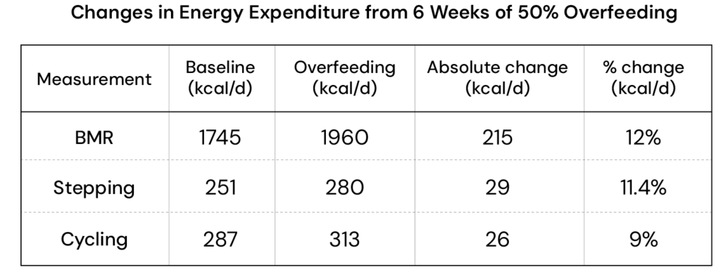 Table showing changes in energy expenditure after six weeks of 50% overfeeding. BMR increased from 1745 to 1960 kcal/day (+215 kcal, +12%). Stepping increased from 251 to 280 kcal/day (+29 kcal, +11.4%). Cycling increased from 287 to 313 kcal/day (+26 kcal, +9%)