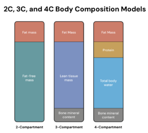 How Accurate Is InBody At Estimating Your Body Composition? • Physiqonomics